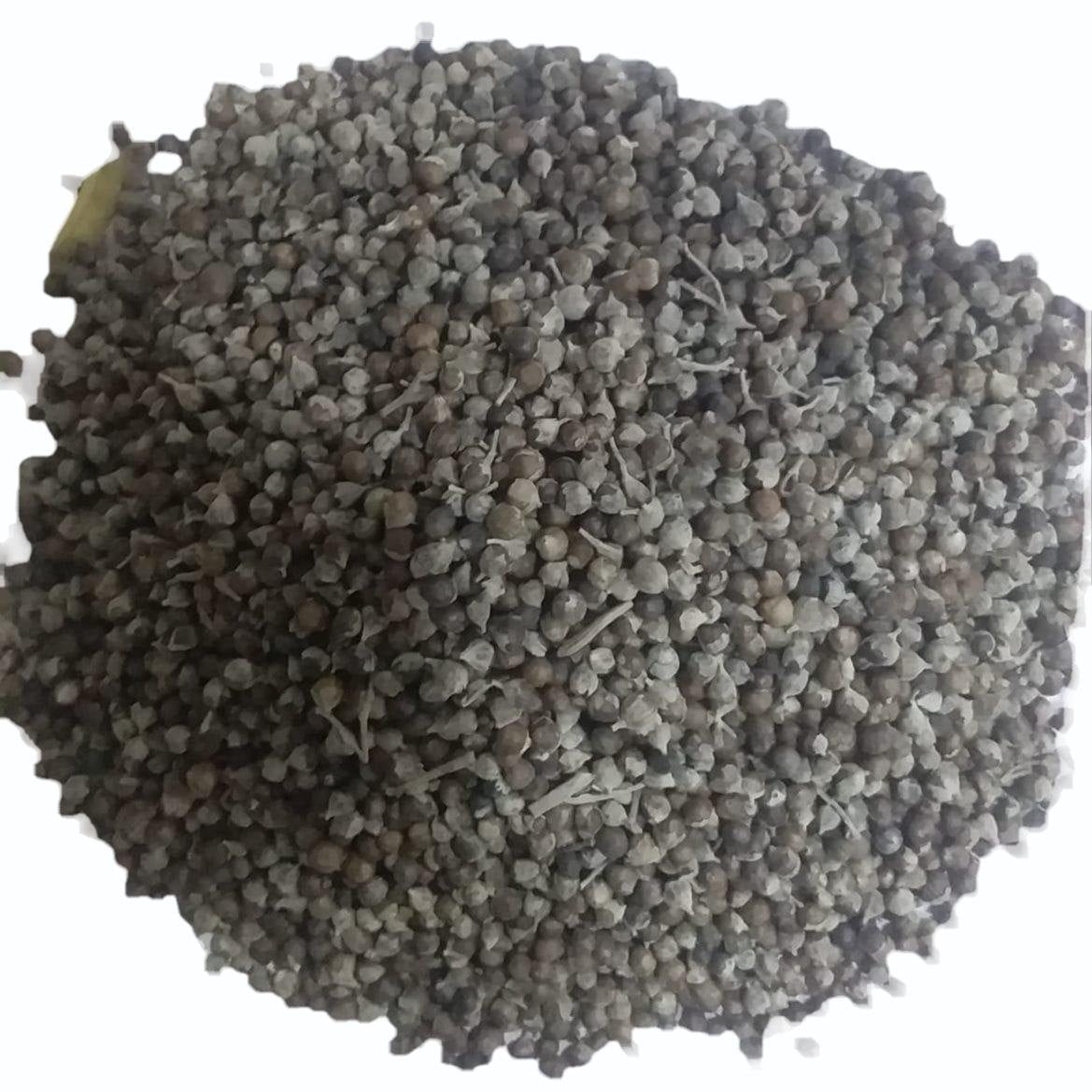 Nirgundi Plant Seeds for Planting-Heirloom & Non-GMO Seeds for planting – Fresh Herb for Your Garden