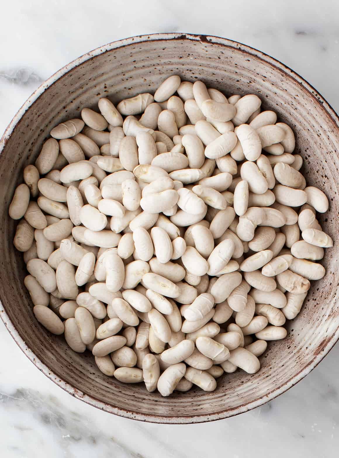 Heirloom Blue Lake  Bush Bean Seeds