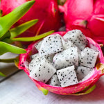 hylocereus undulatus night blooming cactus plant