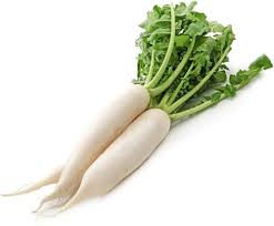 White Radish Vegetable Seeds for Planting - 100 Pcs pcs - Dharaseeds