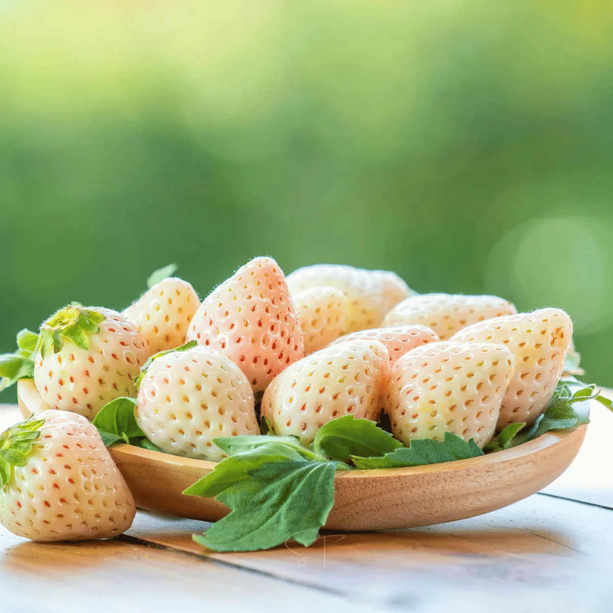White Strawberry Seeds for Cultivating Rare White Berry Fruits