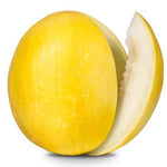 Cantaloupe melon plant growing in garden from premium seeds