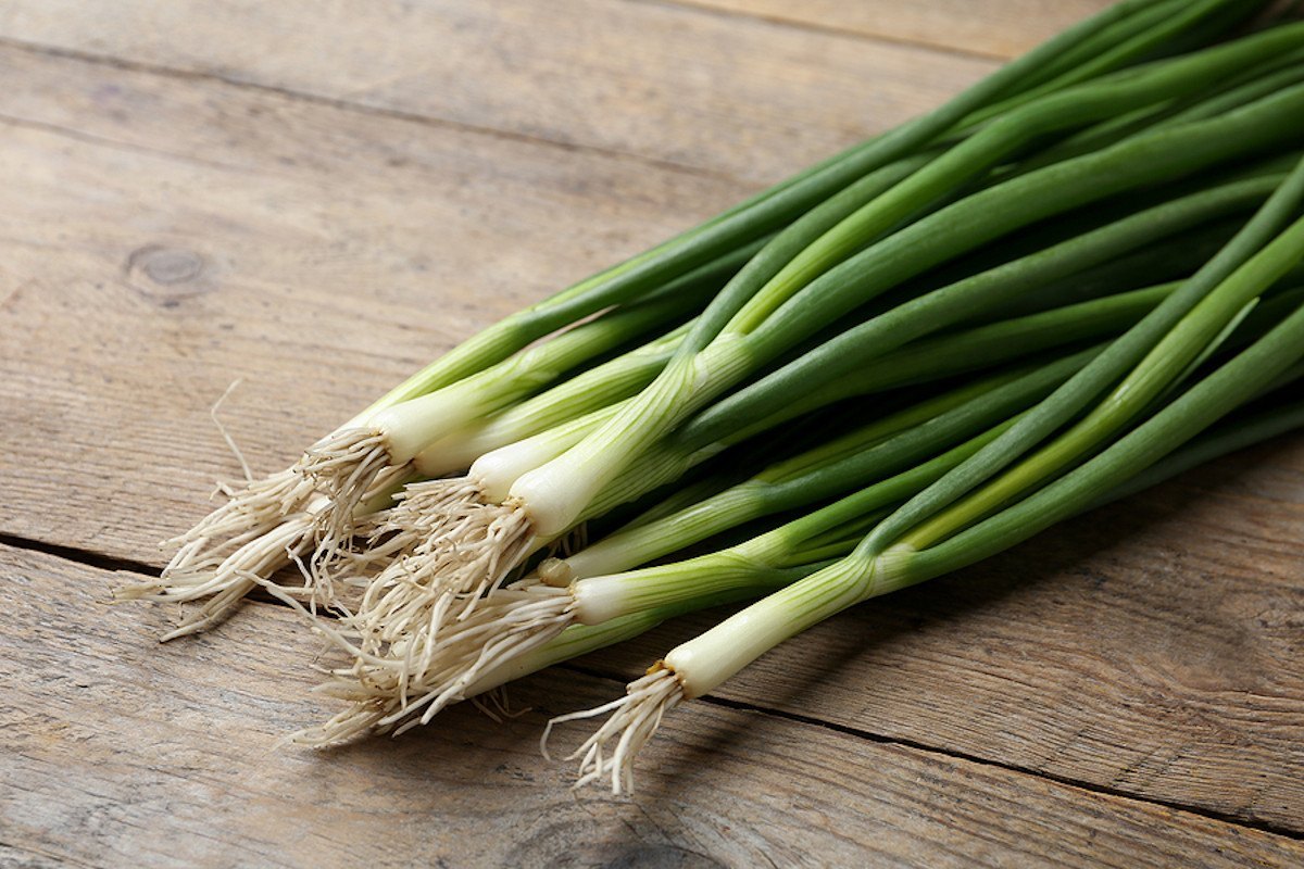 Non GMO Whitewing Onion Seeds for garden
