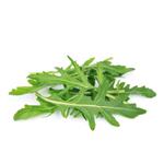 Wild arugula plant growing in container garden