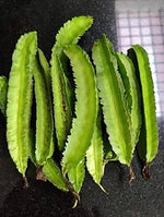 Winged Bean Seeds for Gardening, 100 Pcs pcs - Dharaseeds