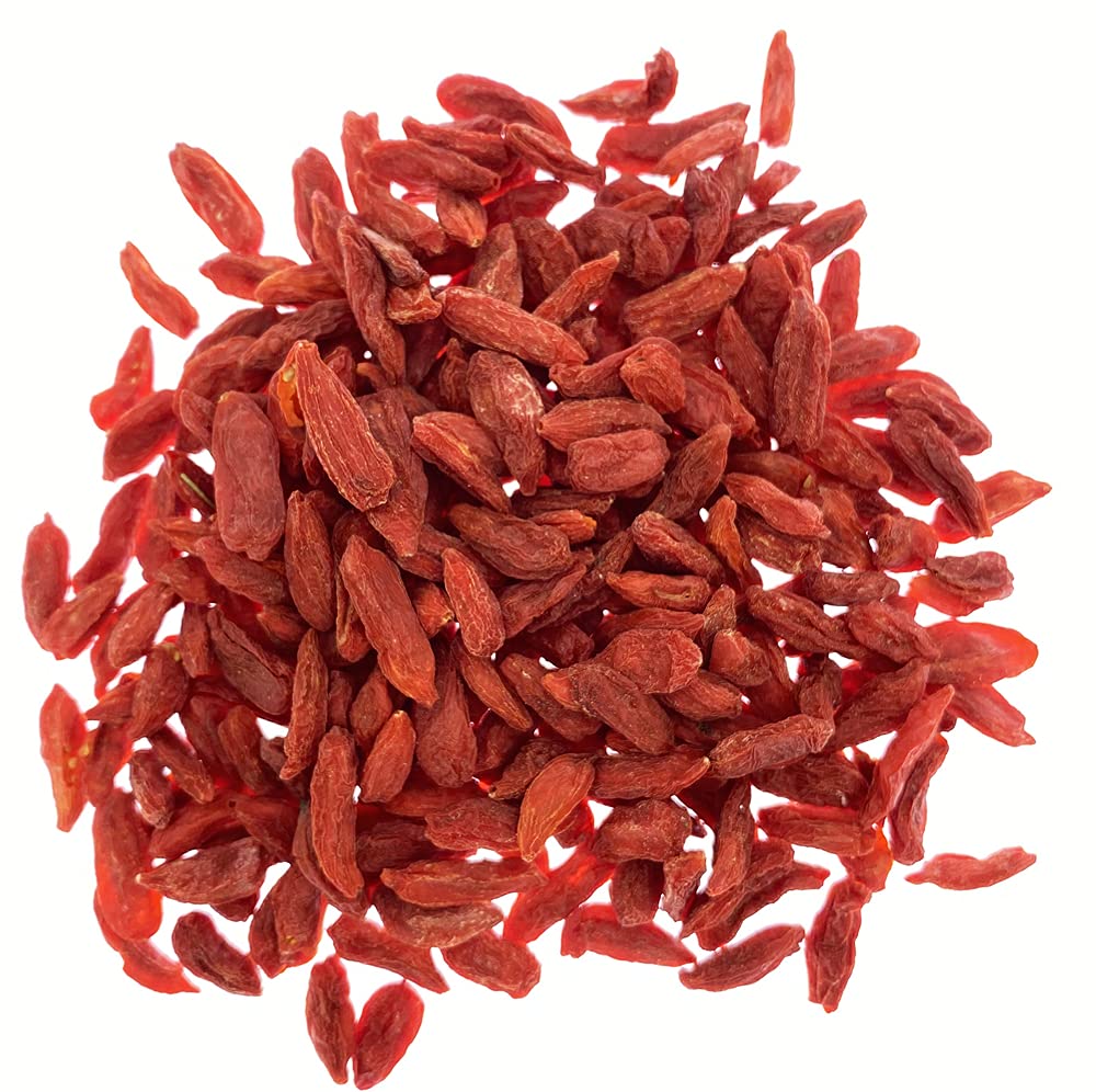 Lycium Barbarum wolfberry plants grown from seeds