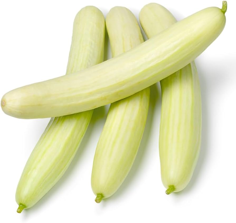 Wonder White Cucumber seeds – crisp, mild cucumber ideal for slicing - Dharaseeds