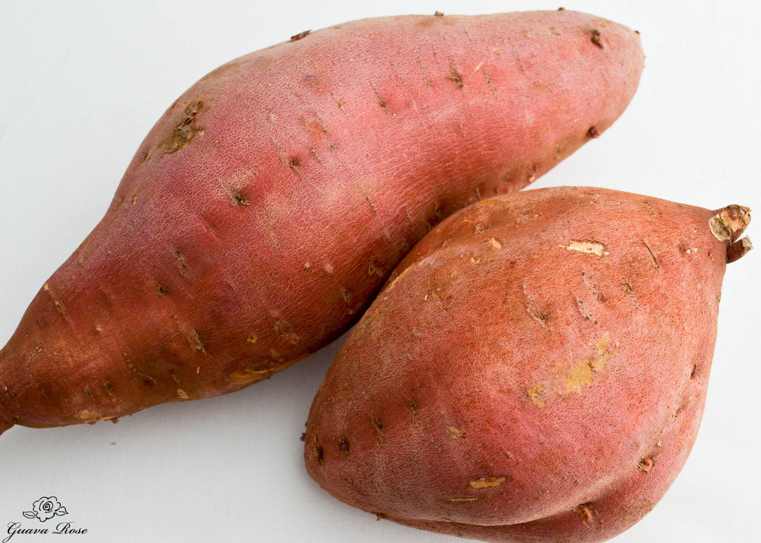 Sweet Potato Seeds