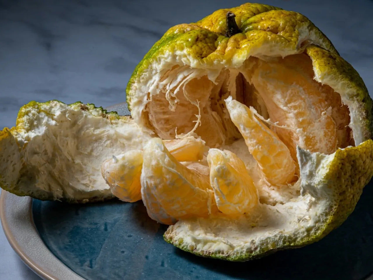 Ugli Fruit (Citrus reticulata x Citrus paradisi) - Tangy and Sweet Hybrid Citrus