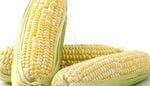 Yellow bi color hybrid corn seeds high yield organic garden corn