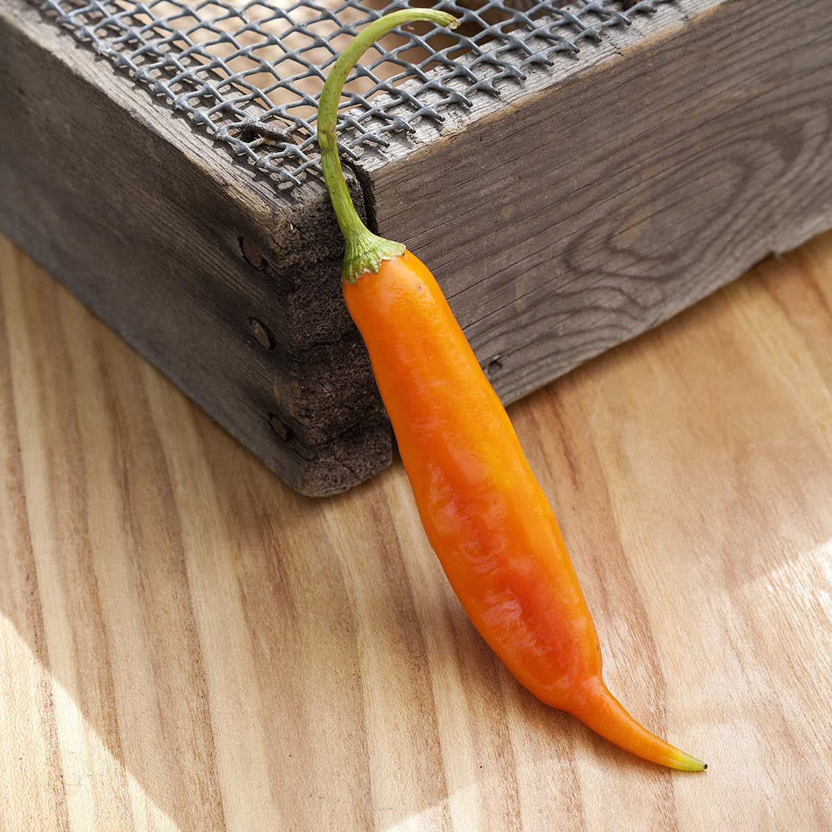 Yellow hot pepper seeds non GMO spicy pepper variety
