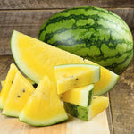 Yellow watermelon fruit grown from Yellow Baby Doll seeds