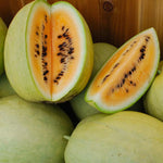 Yellow watermelon plant grown from seeds