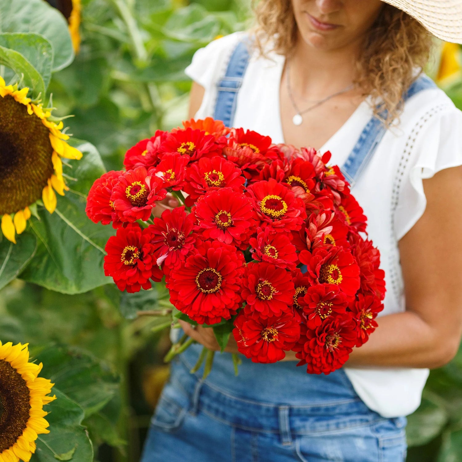 BOGO OFF ZINNIA CHERRY QUEEN FLOWER SEEDS HARVEST SHIPPING – Heirloom, Non-GMO, High Germination Organic Garden Seeds
