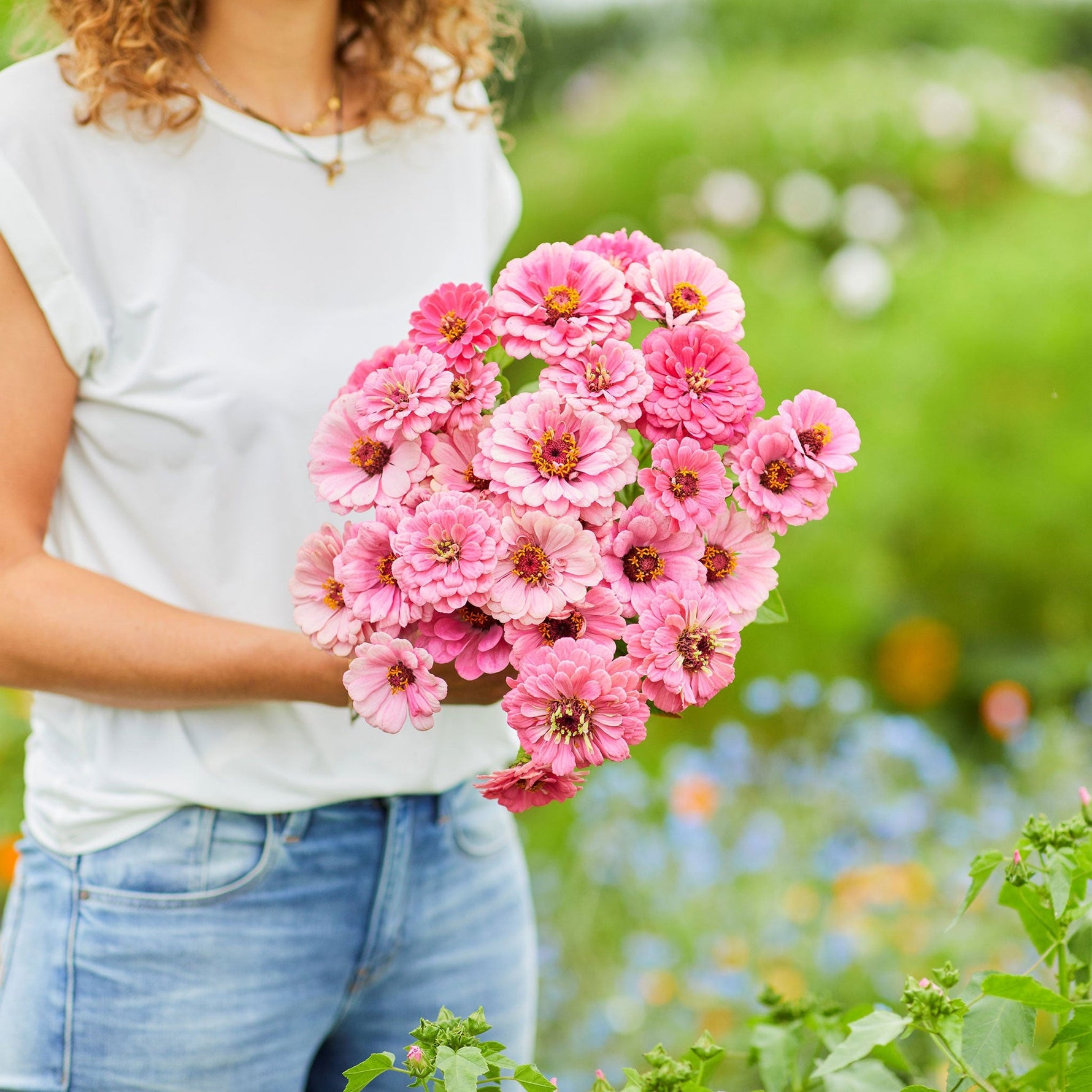 flowers high quality flower seeds for growing vibrant and colorful blooms in home gardens and landscapes organic flowers premium organic flower seeds for sustainable gardening and beautiful blossoms suitable for all climates